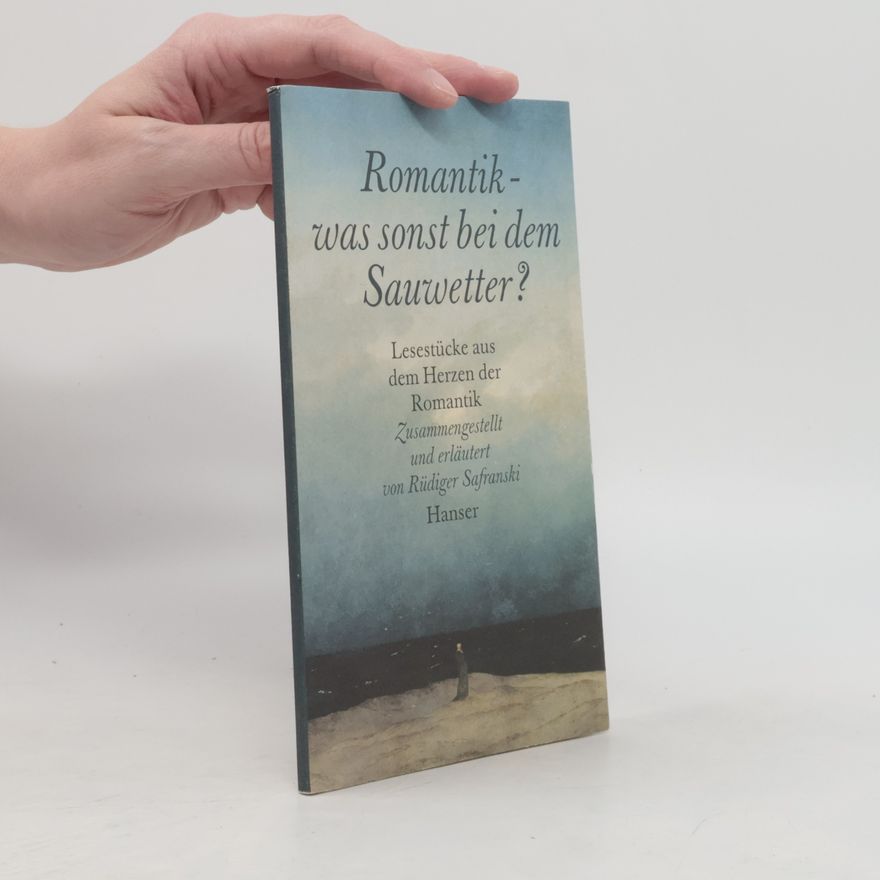 Rüdiger Safranski Romantik - Was sonst bei dem Sauwetter?