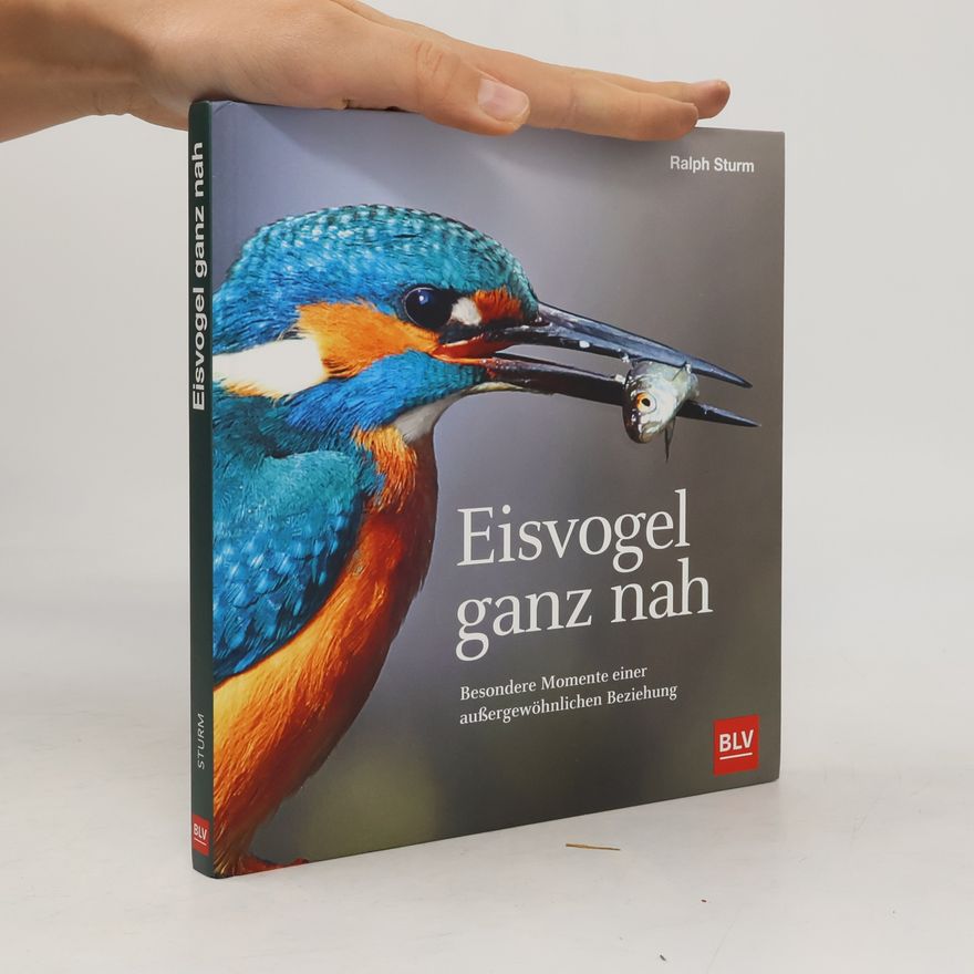 Ralph Sturm Eisvogel ganz nah