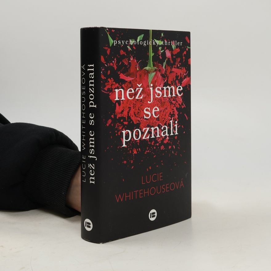 Lucie Whitehouse Než jsme se poznali