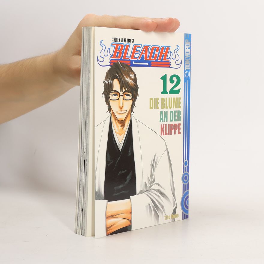 Tite Kubo Bleach 12