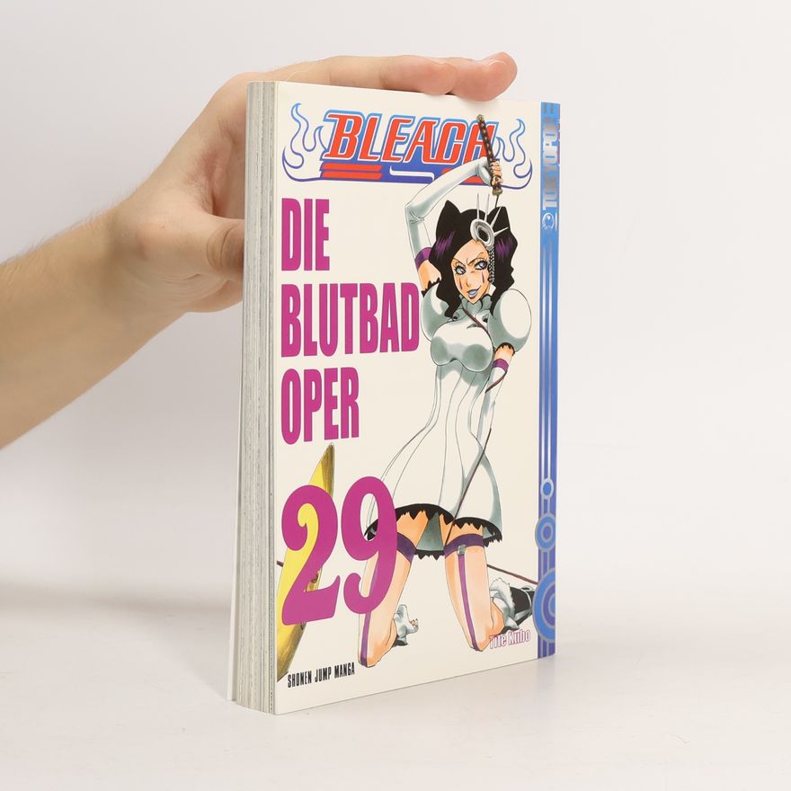 Tite Kubo Bleach 29