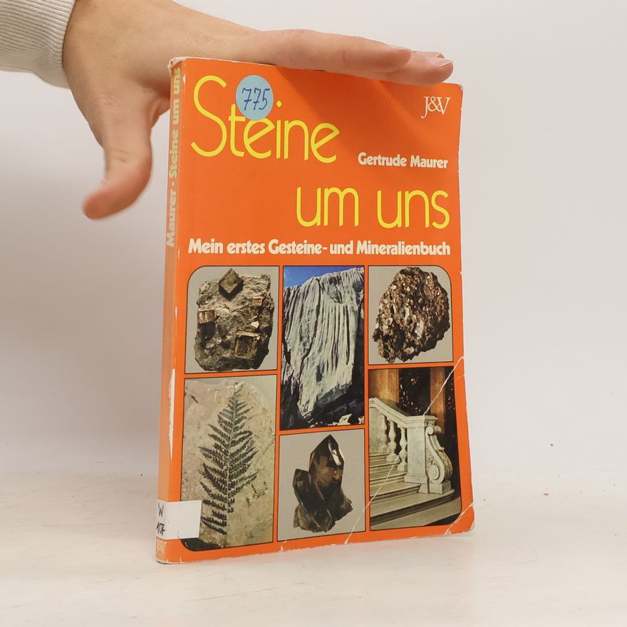 Gertrude Maurer Steine um uns