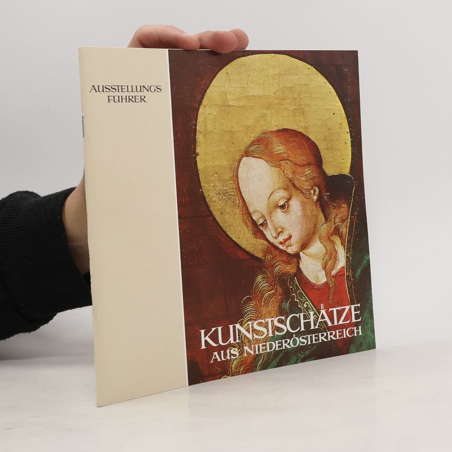 Kolektiv autorů Kunstschätze aus Niederösterreich