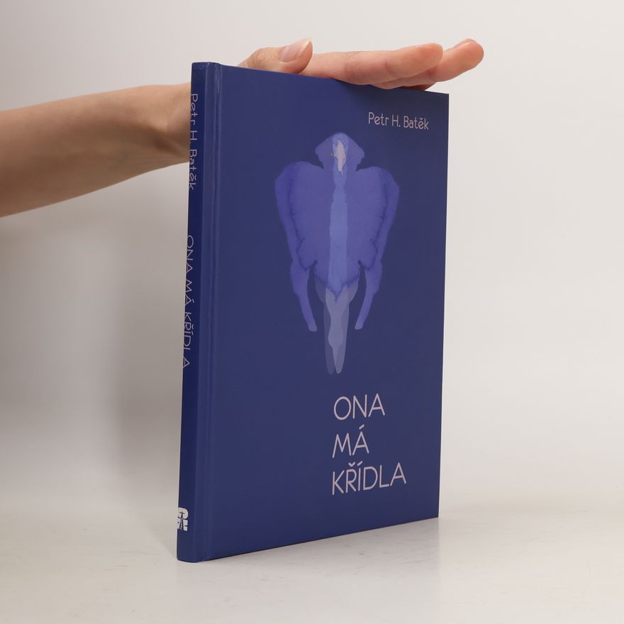 Petr Batěk Ona má křídla