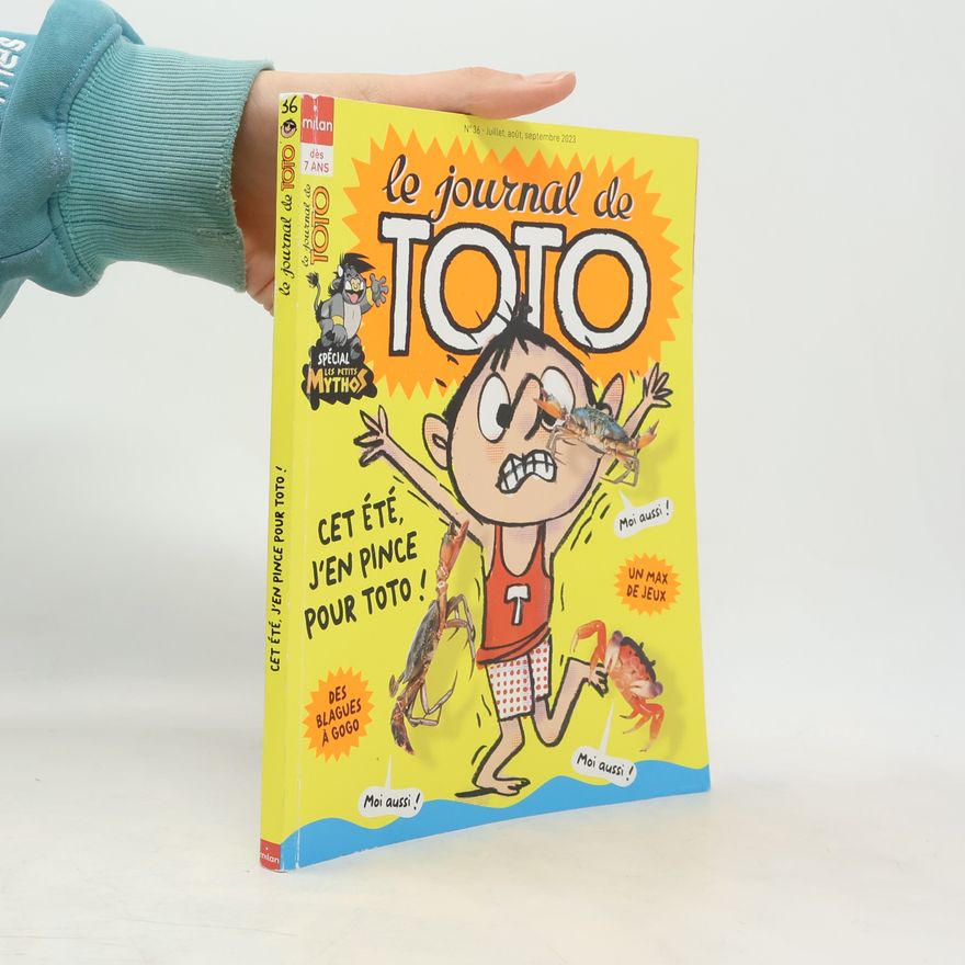 Vincent Gire Le journal de Toto 36
