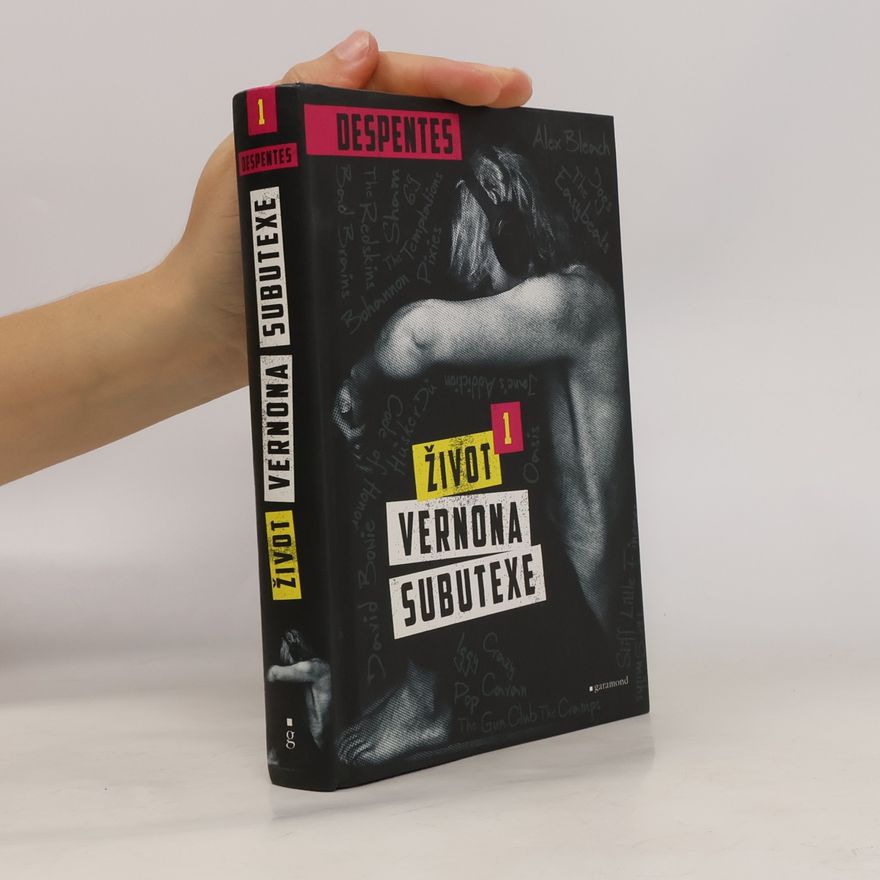 Virginie Despentes Život Vernona Subutexe 1