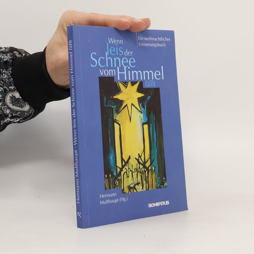 Kolektiv autorů Wenn leis der Schnee vom Himmel fällt