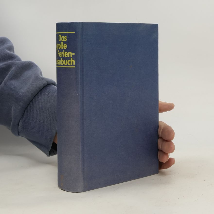 Kolektív autorov Das große Ferien-Lesebuch