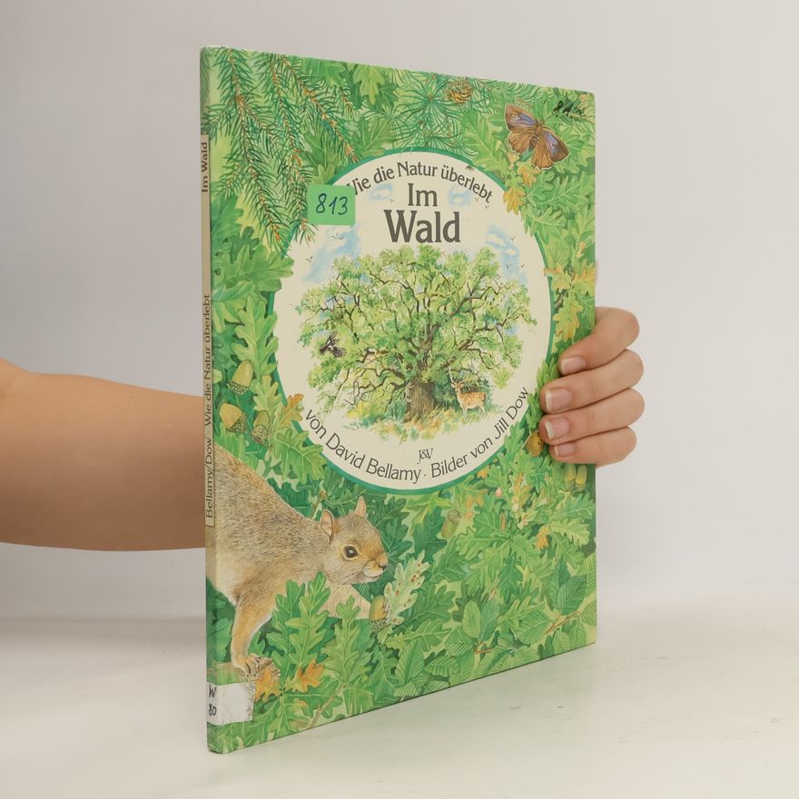 David Bellamy Im Wald