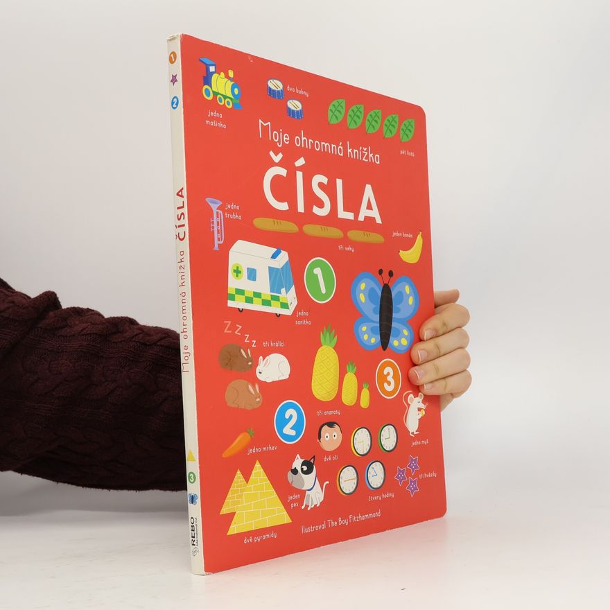 Autorenkollektiv Moje ohromná knížka: Čísla