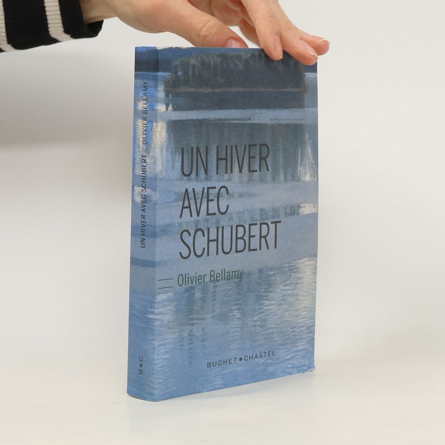 Olivier Bellamy Un hiver avec Schubert