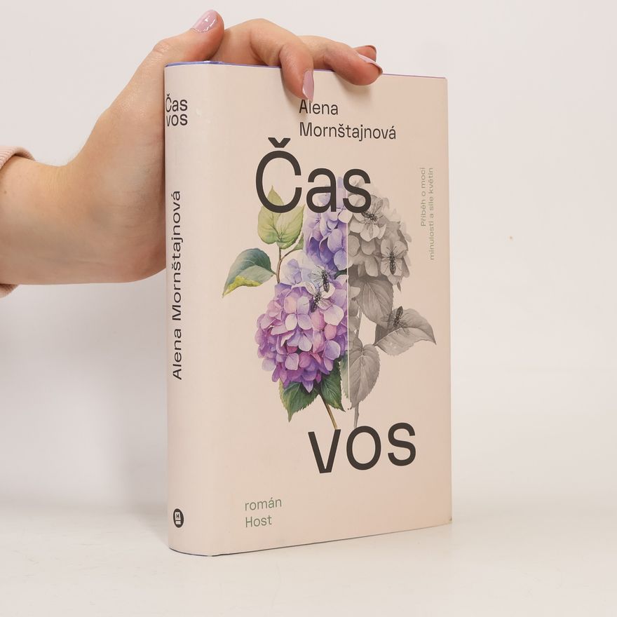 Alena Mornštajnová Čas vos