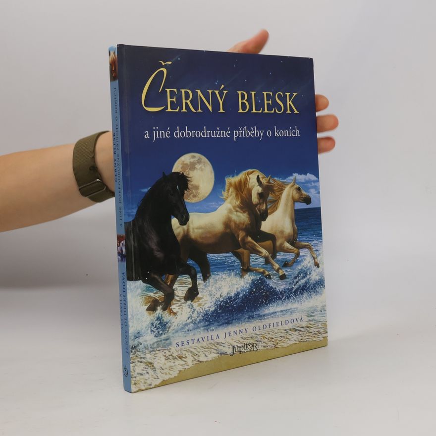 Jenny Oldfield Černý blesk a jiné dobrodružné příběhy o koních