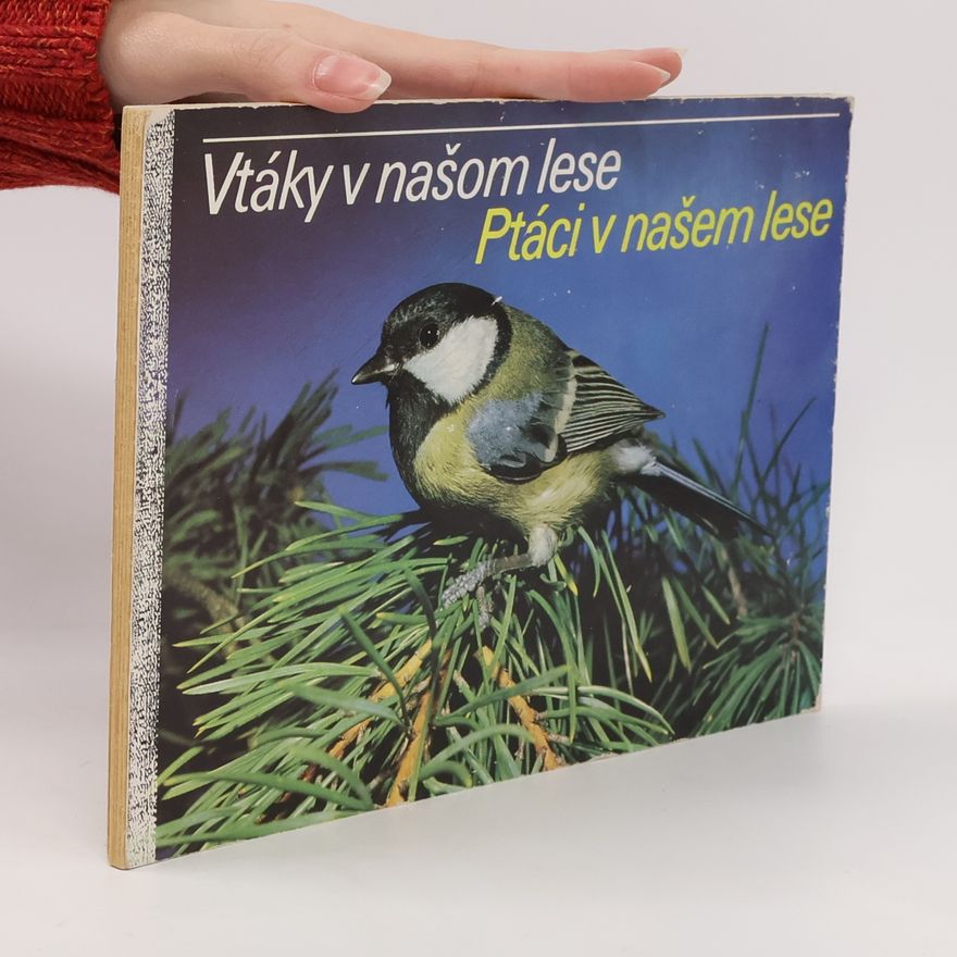 Autorenkollektiv Vtáky v našom lese. Ptáci v našem lese