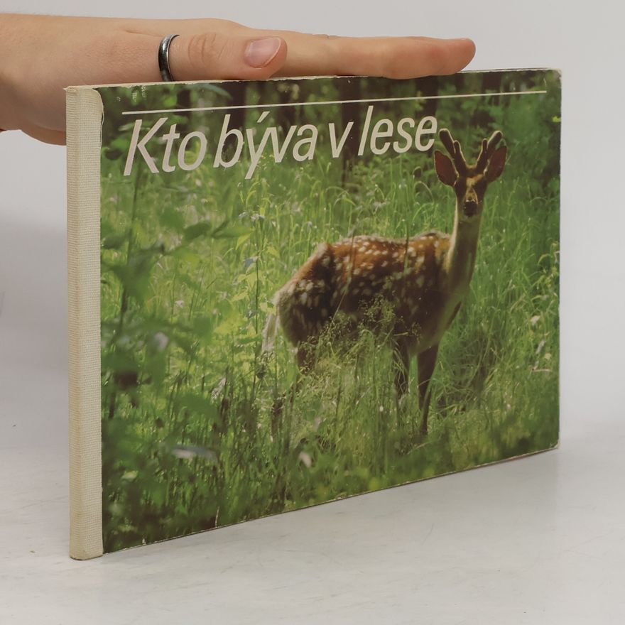 Zdeno Vlach Kto býva v lese