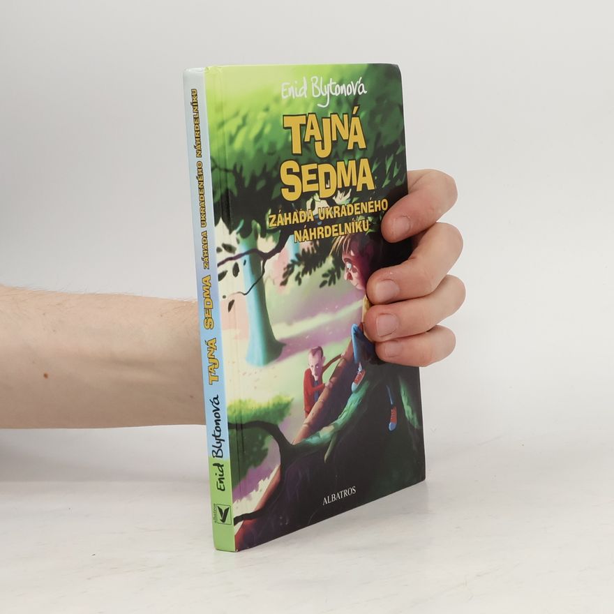 Enid Blyton Záhada ukradeného náhrdelníku