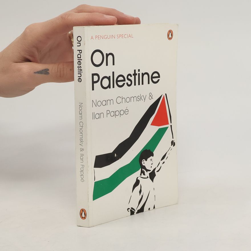 Noam Chomsky On Palestine