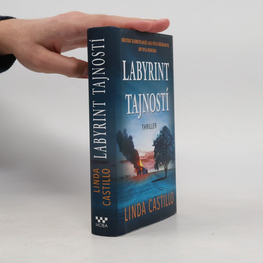 Linda Castillo Labyrint tajností