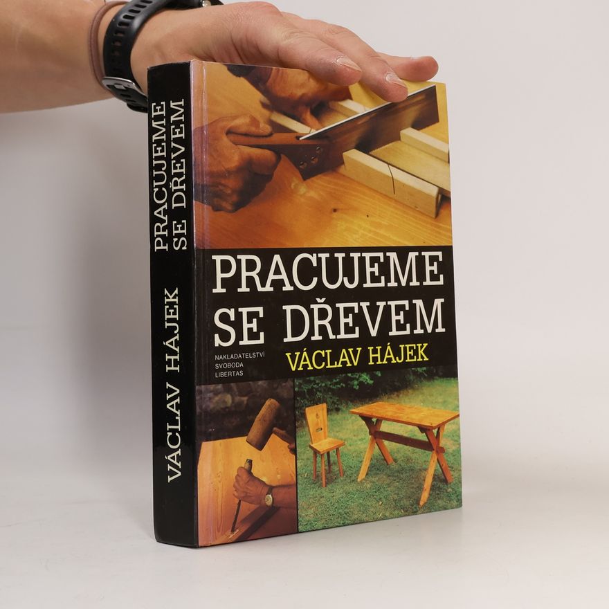 Václav Hájek Pracujeme se dřevem