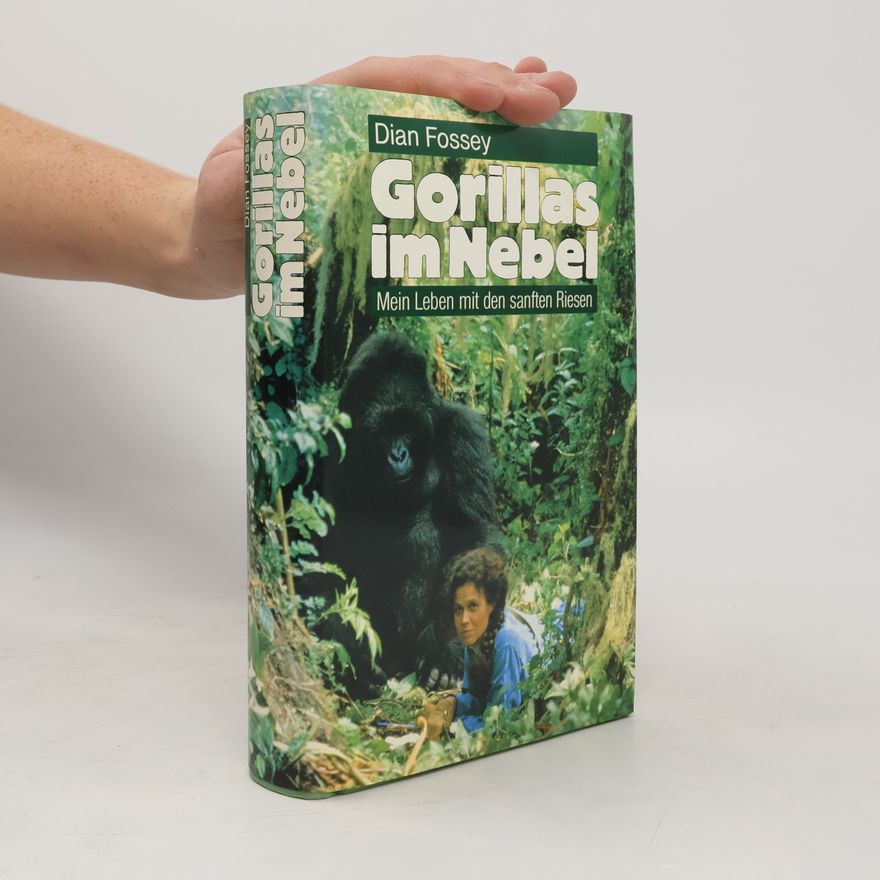 Dian Fossey Gorillas im Nebel