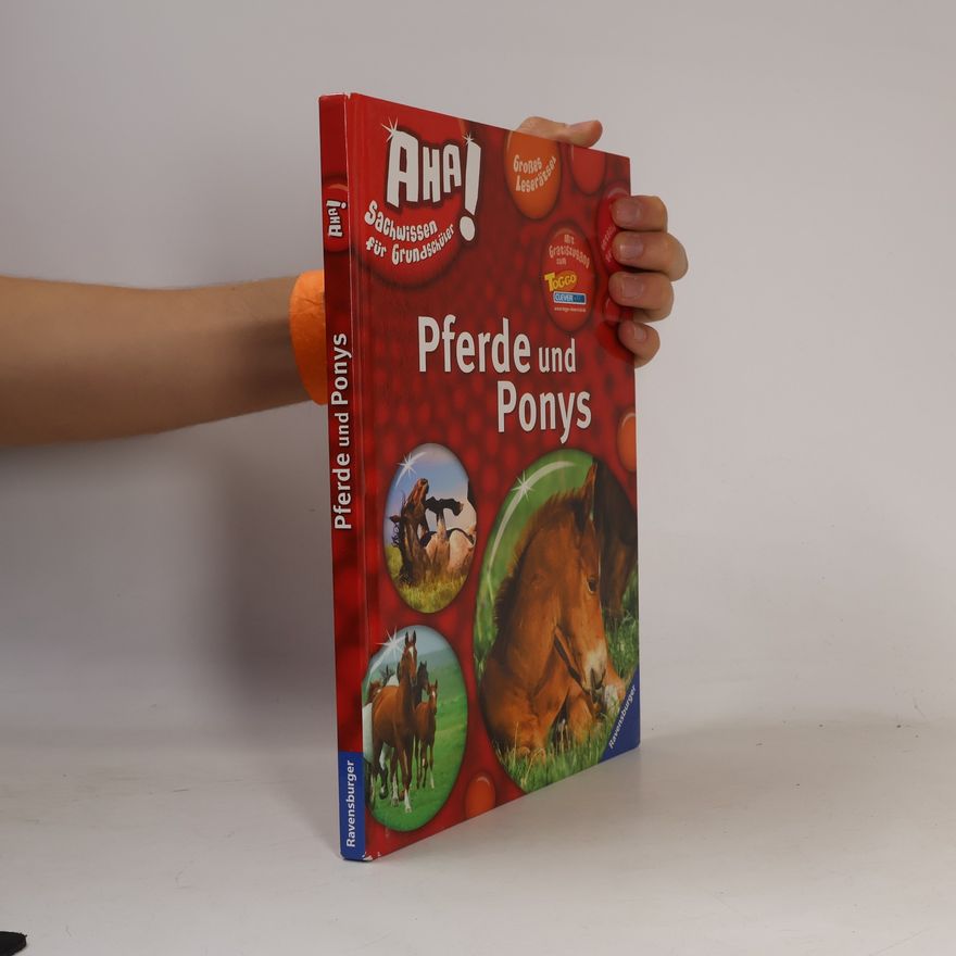 Martina Gorgas Pferde und Ponys