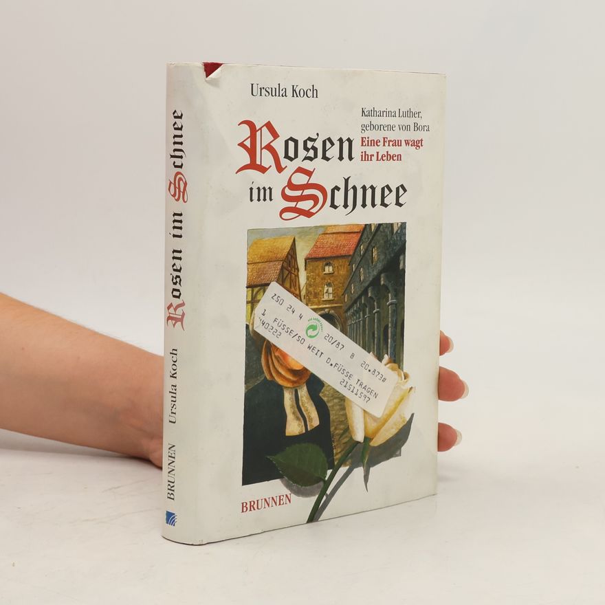 Ursula Koch Rosen im Schnee