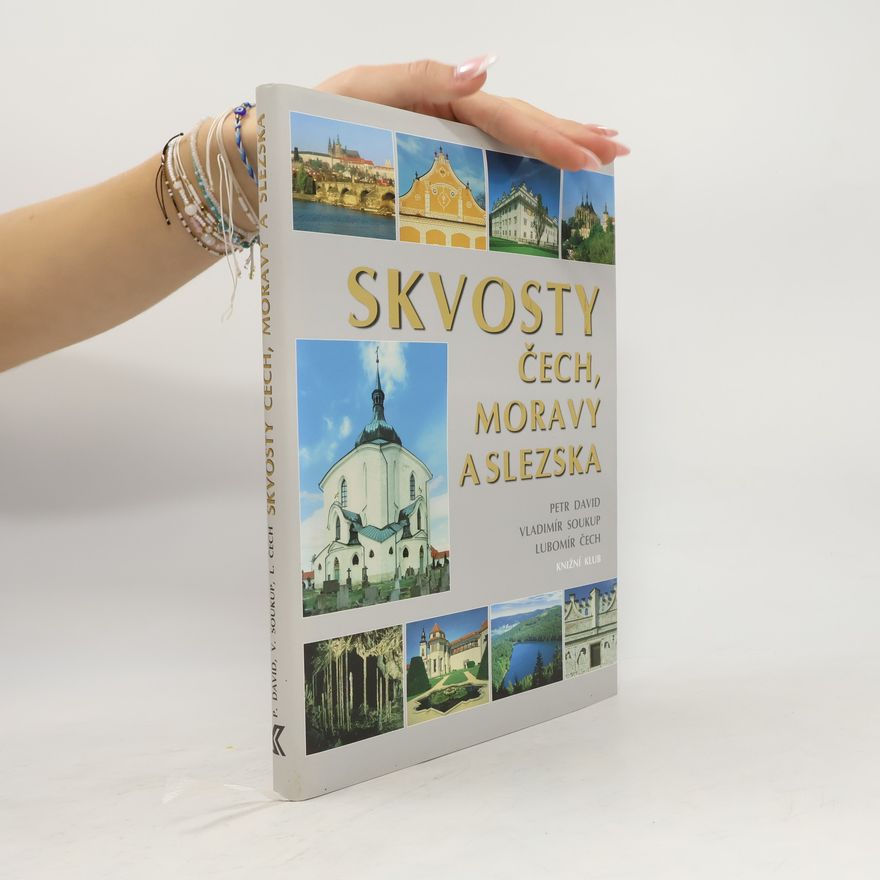 Petr David Skvosty Čech, Moravy a Slezska