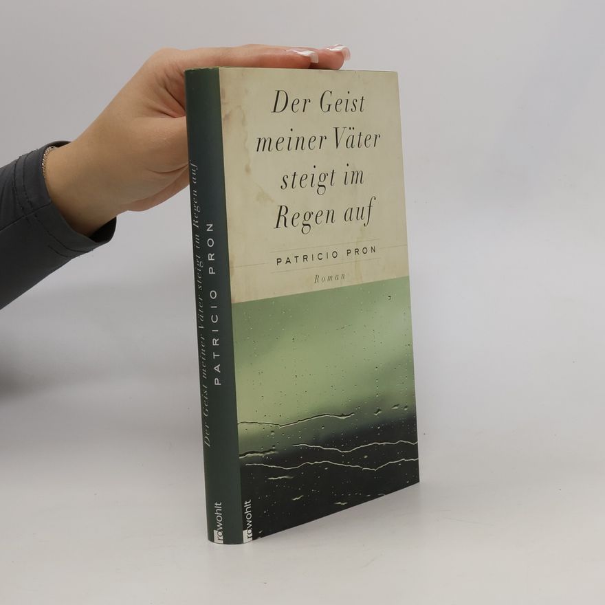 Patricio Pron Der Geist meiner Väter steigt im Regen auf