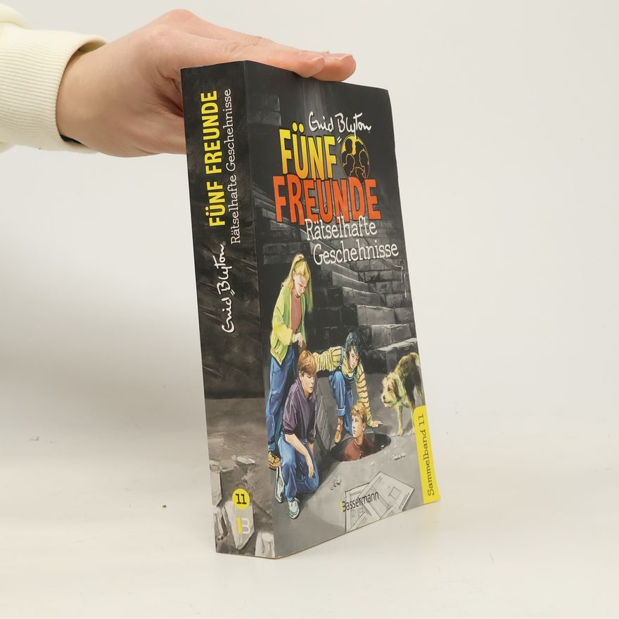 Enid Blyton Fünf Freunde - rätselhafte Geschehnisse