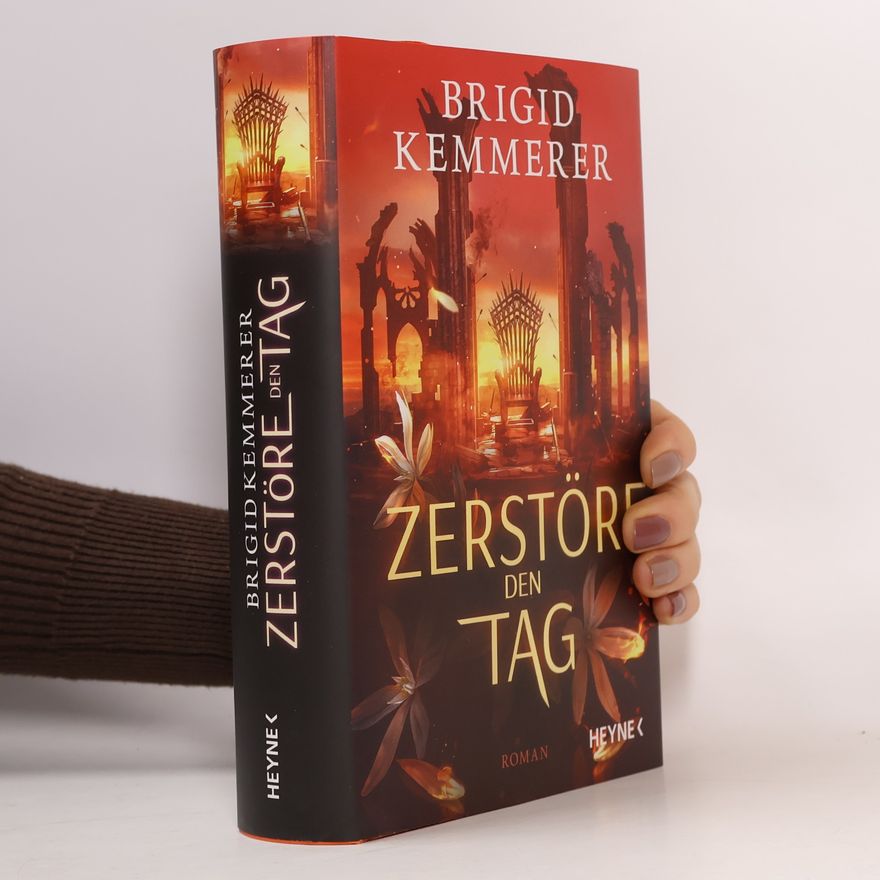 Brigid Kemmerer Zerstöre den Tag
