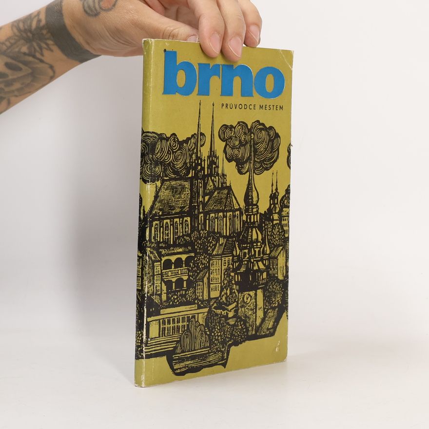 Vladislav David Brno. Průvodce městem
