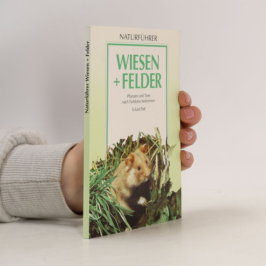 Eckart Pott Wiesen und Felder