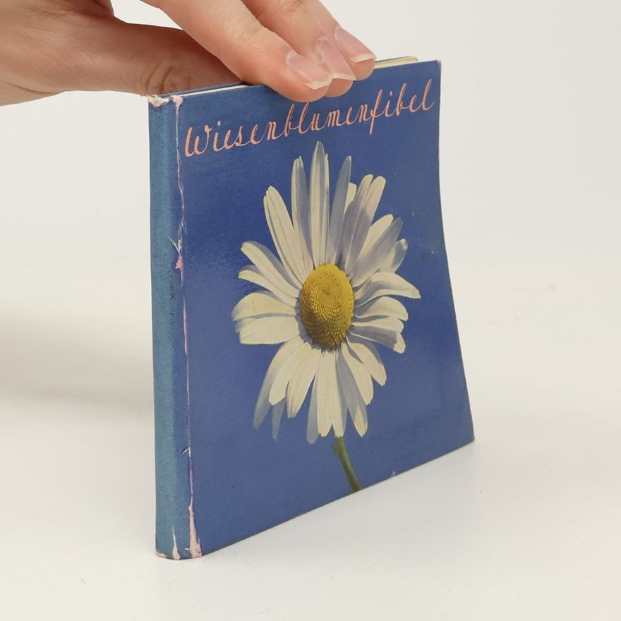 Autorenkollektiv Wiesenblumenfibel