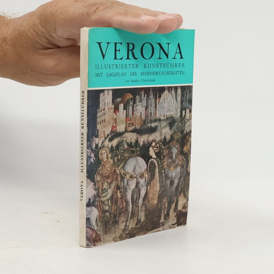 Kolektiv autorů Verona Illustrierter Kunstführer mit Lageplan der Sehenswü