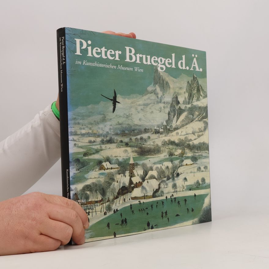 Kolektiv autorů Pieter Bruegel d.Ä - im Kunsthistorischen Museum Wien