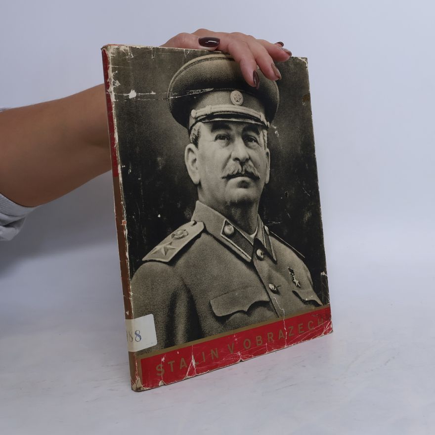 Collectif d'auteurs Stalin v obrazech