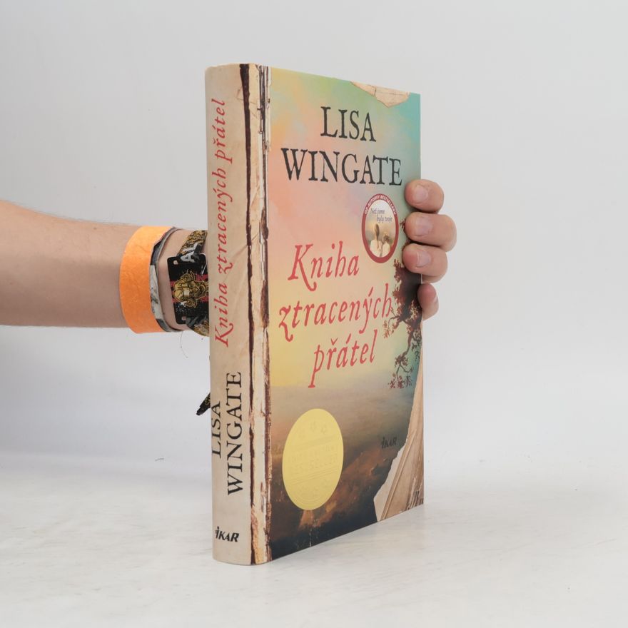 Lisa Wingate Kniha ztracených přátel