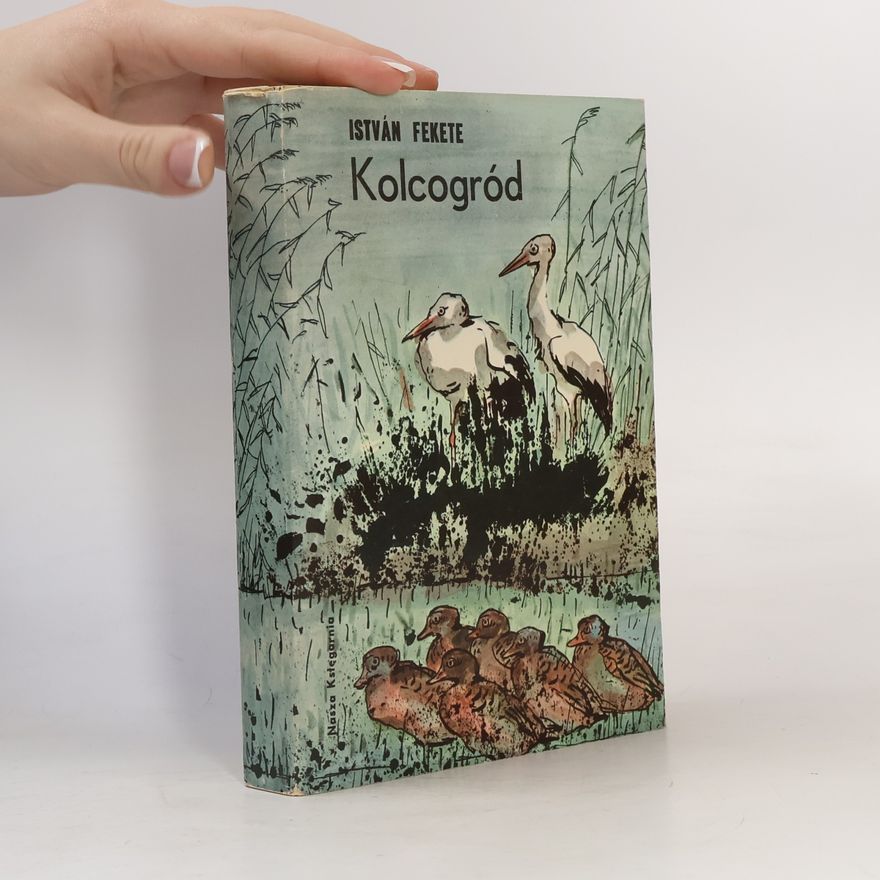 István Fekete Kolcogród