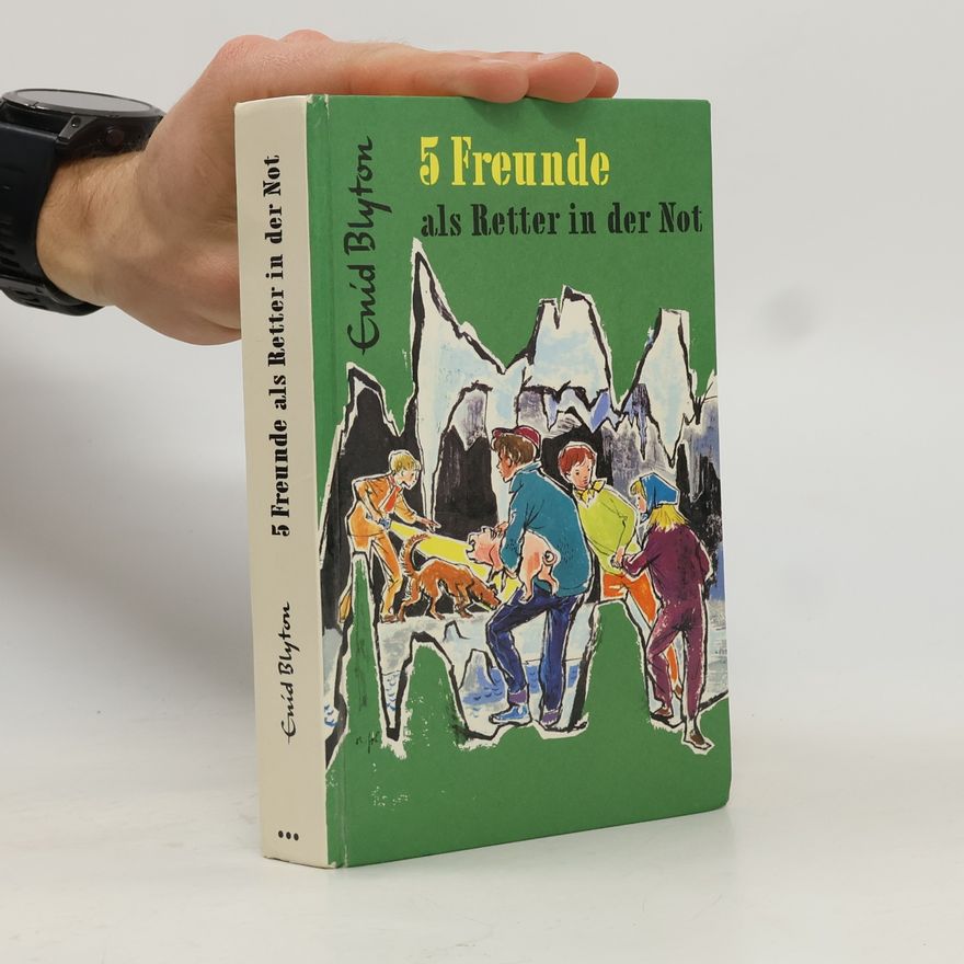 Enid Blyton 5 Freunde als Retter in der Not