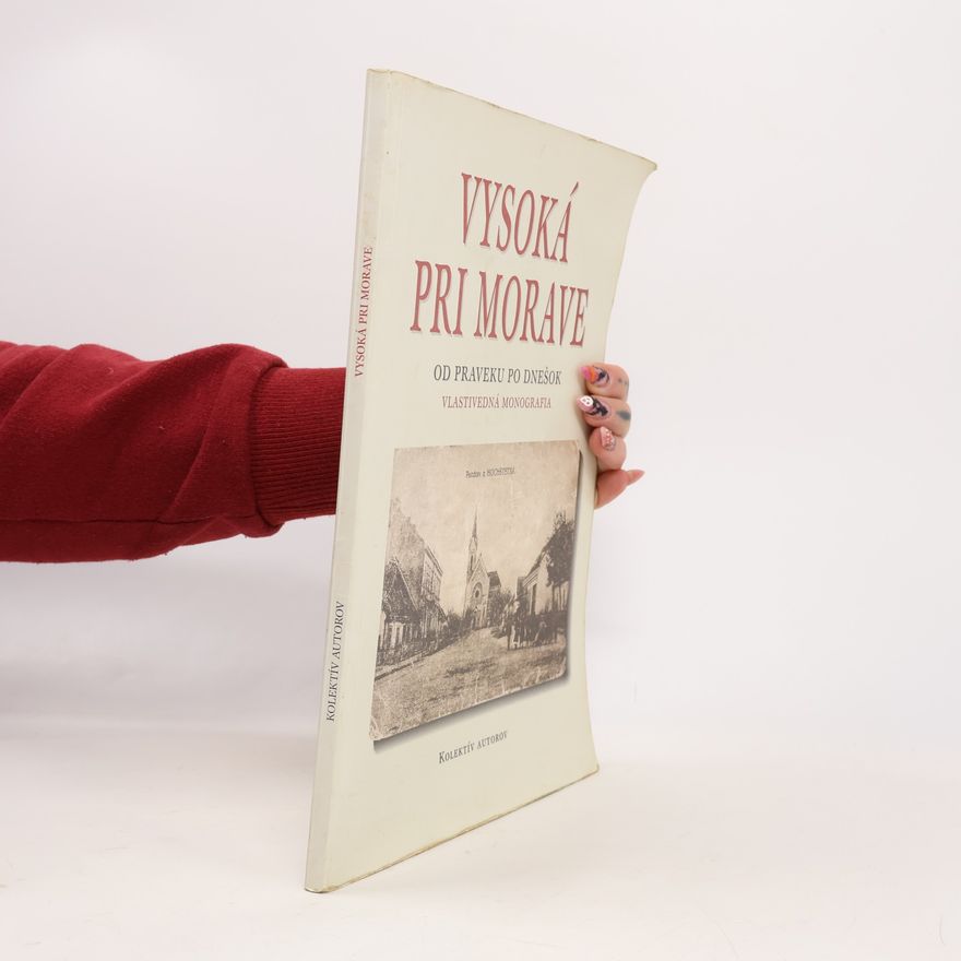 Autorenkollektiv Vysoká pri Morave od praveku po dnešok