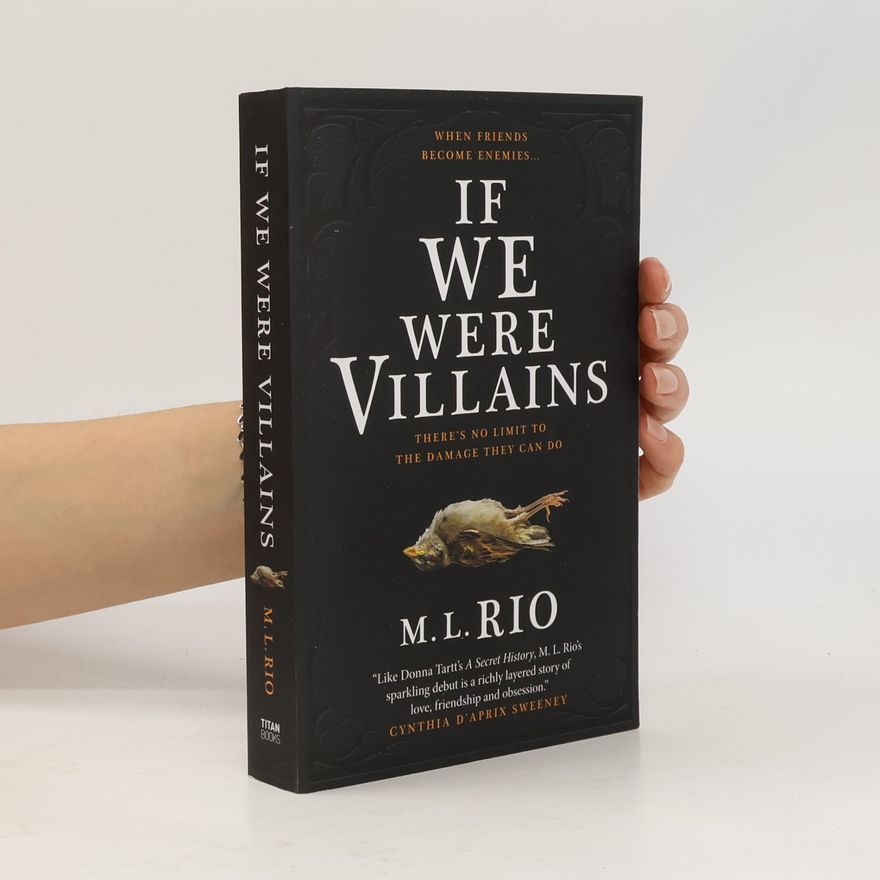 M. L. Rio If We Were Villains