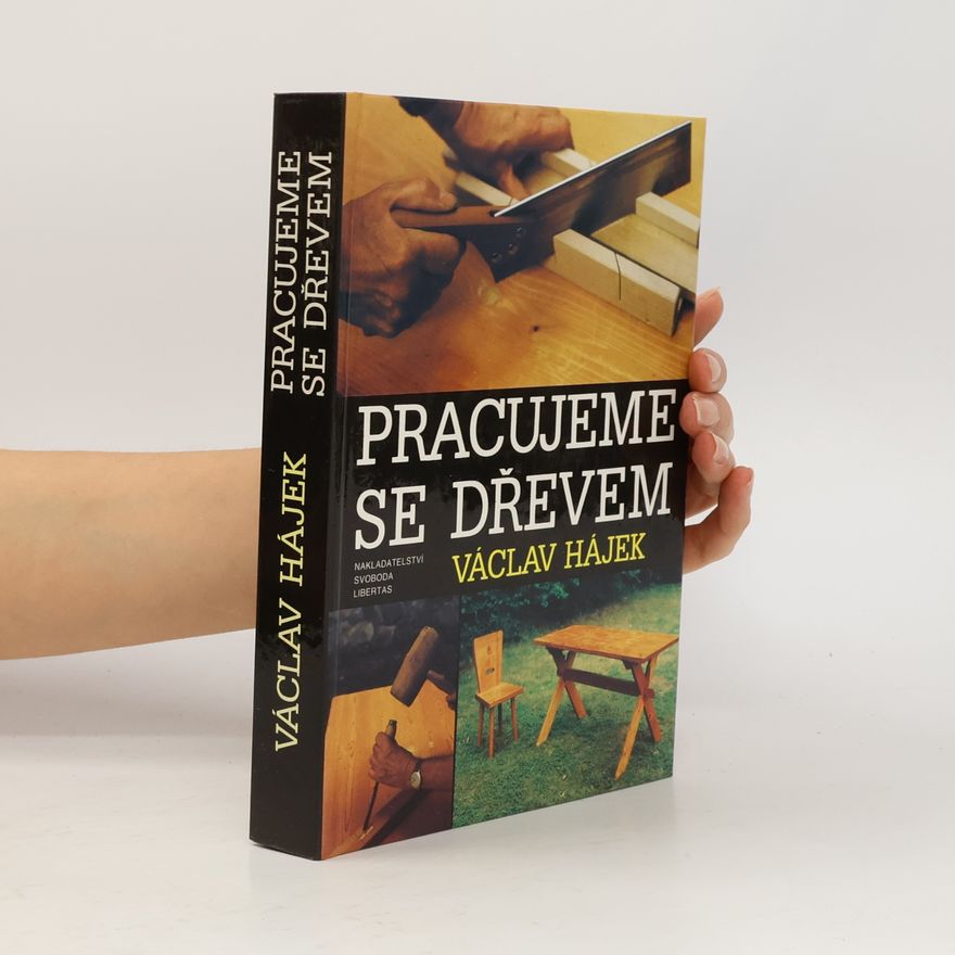 Václav Hájek Pracujeme se dřevem
