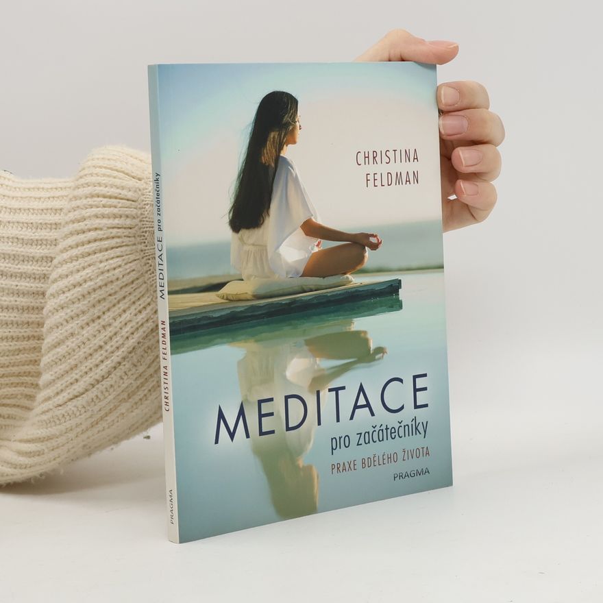 Christina Feldman Meditace pro začátečníky. Praxe bdělého života