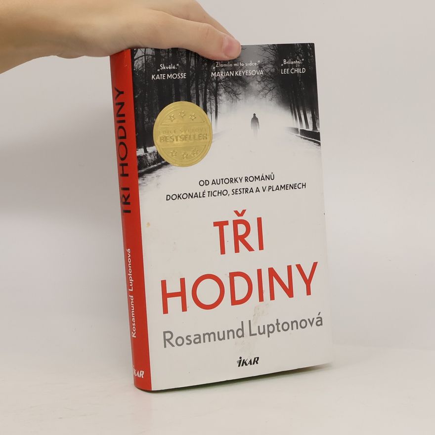 Rosamund Lupton Tři hodiny