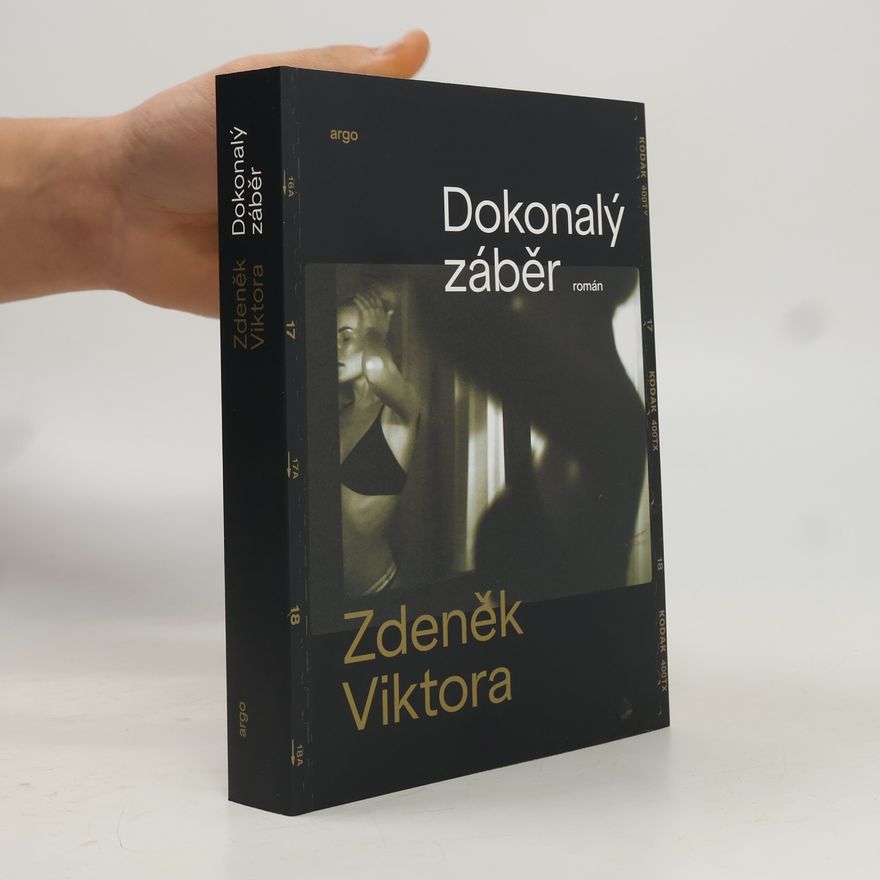 Zdeněk Viktora Dokonalý záběr