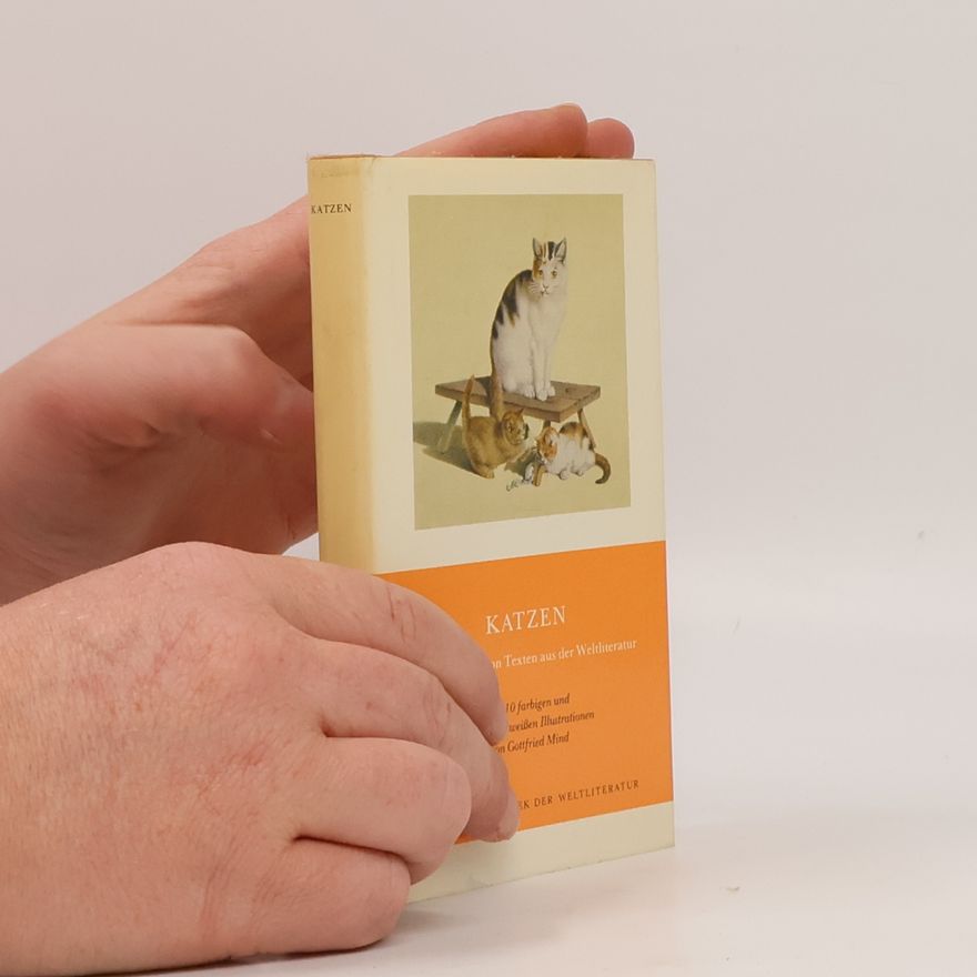 Autorenkollektiv Katzen