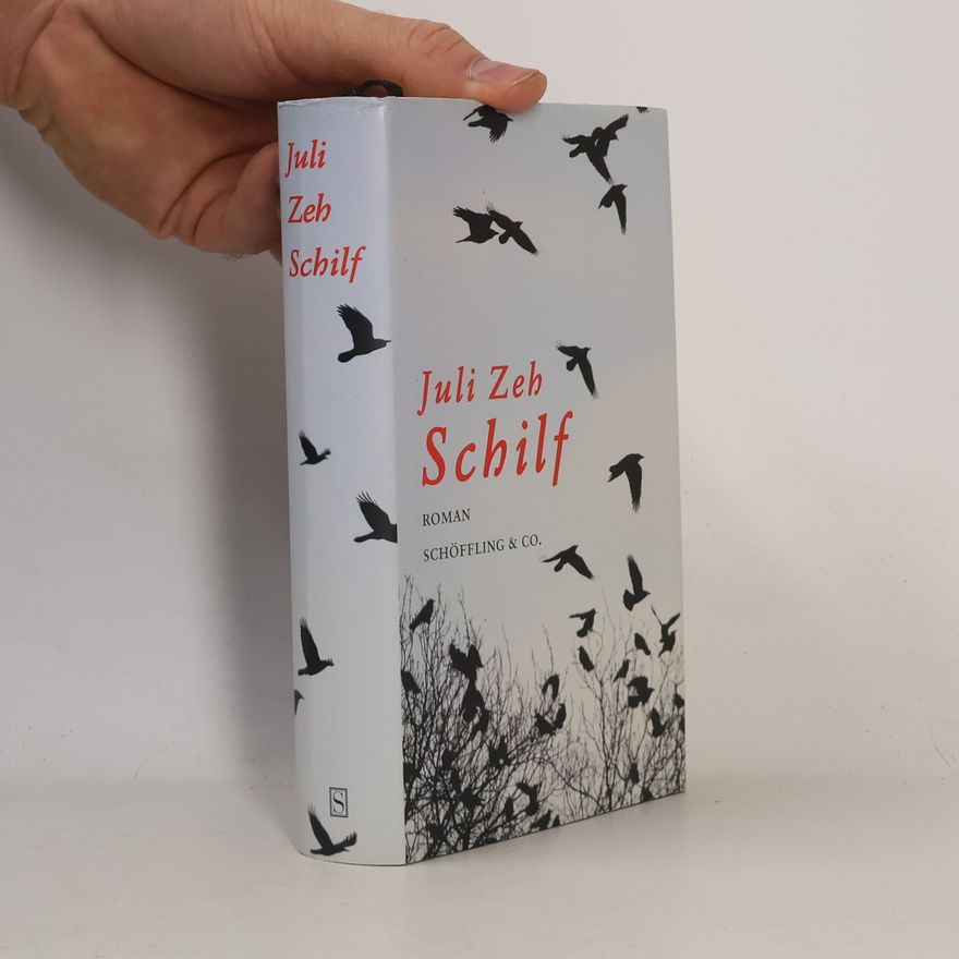 Juli Zeh Schilf