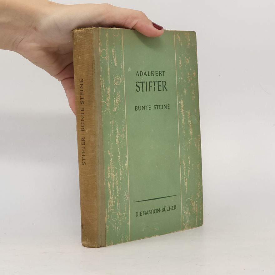 Adalbert Stifter Bunte Steine