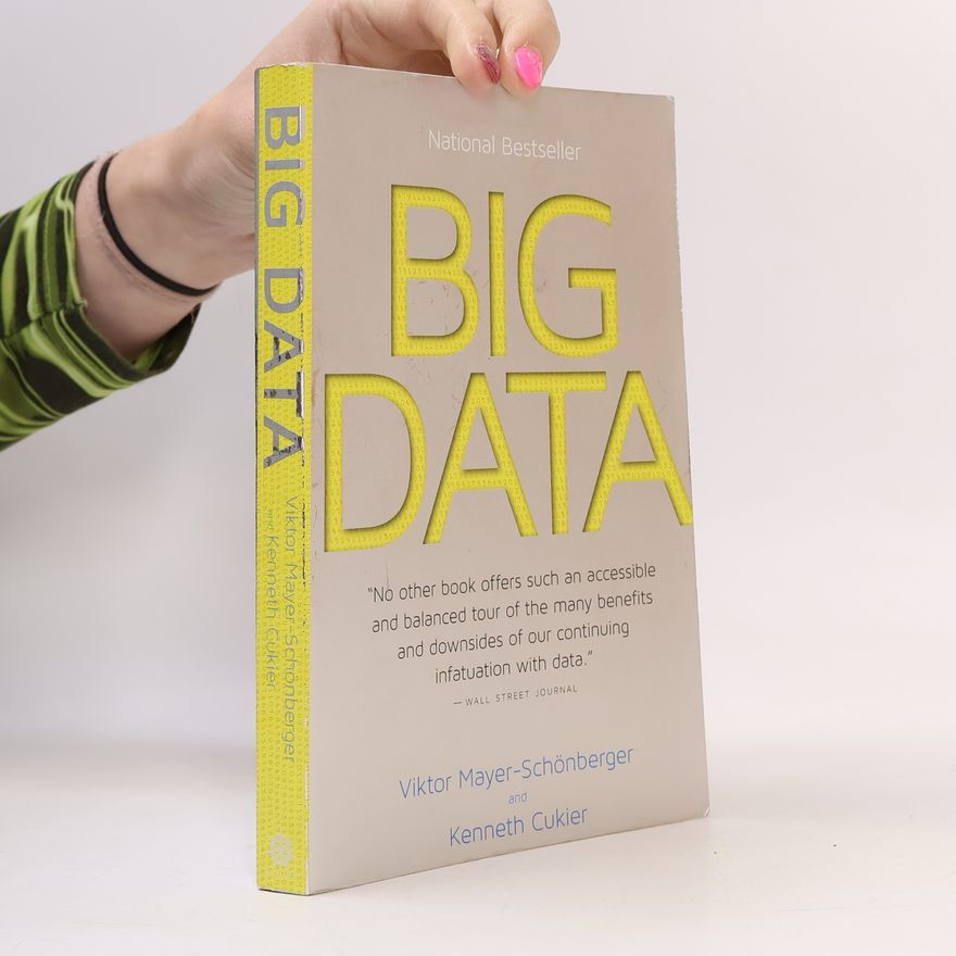 Viktor Mayer-Schönberger Big Data