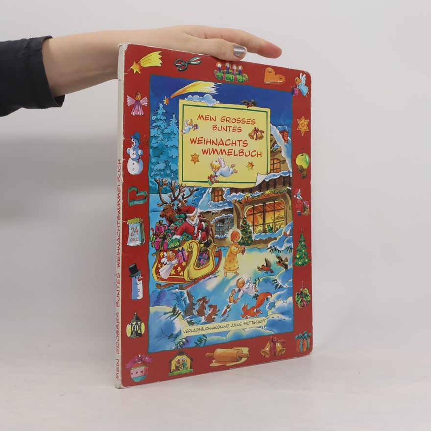 Aleksandra Mein großes buntes Weihnachtswimmelbuch